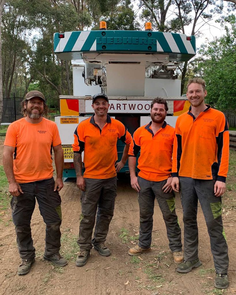 Heartwood Tree Service, Meet the team